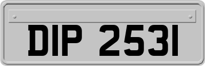 DIP2531