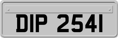 DIP2541