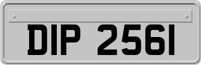 DIP2561