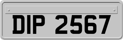 DIP2567