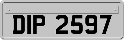 DIP2597