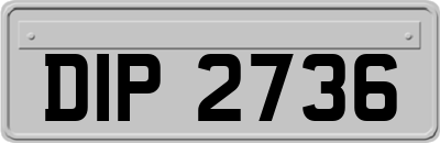 DIP2736