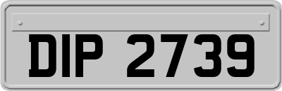 DIP2739