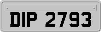 DIP2793
