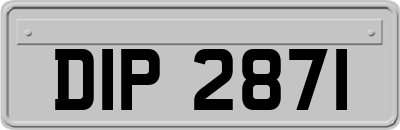 DIP2871