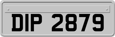 DIP2879