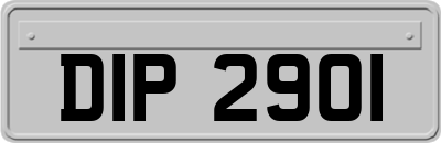 DIP2901
