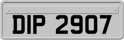 DIP2907