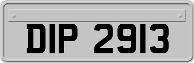 DIP2913