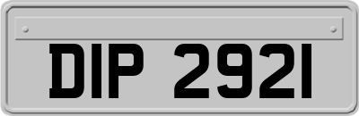 DIP2921
