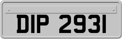 DIP2931