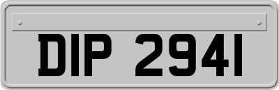 DIP2941