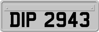 DIP2943
