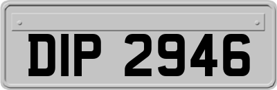 DIP2946