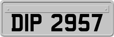 DIP2957