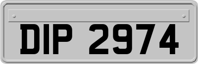 DIP2974