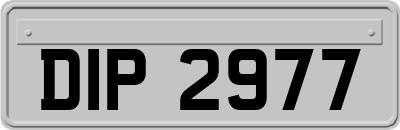 DIP2977