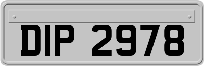 DIP2978