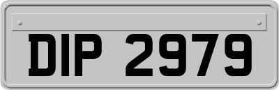 DIP2979