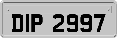 DIP2997