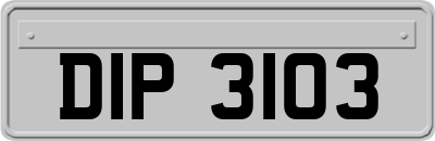 DIP3103