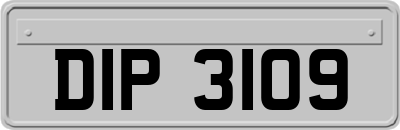 DIP3109