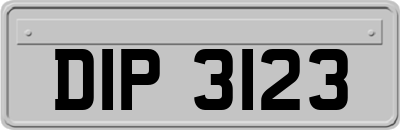 DIP3123