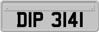 DIP3141