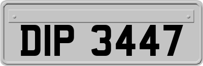DIP3447