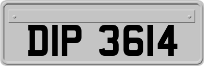 DIP3614