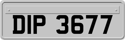DIP3677
