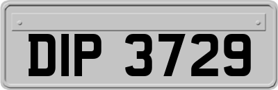 DIP3729