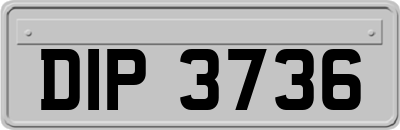 DIP3736