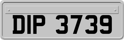 DIP3739