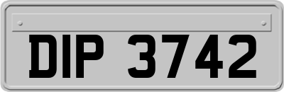 DIP3742