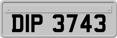 DIP3743