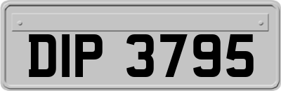 DIP3795