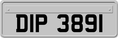 DIP3891