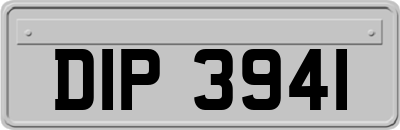 DIP3941