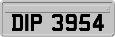 DIP3954