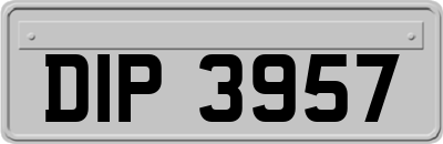 DIP3957