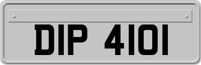 DIP4101