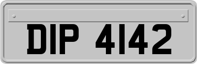 DIP4142