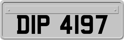 DIP4197