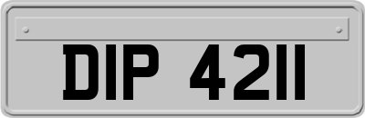 DIP4211