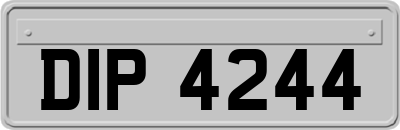 DIP4244