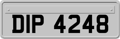 DIP4248