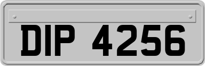 DIP4256