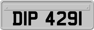 DIP4291