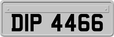 DIP4466